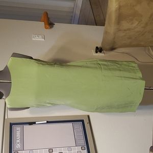NWOT Light Moss Green Sleeveless Sheath, Sz 12